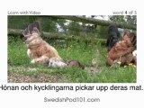 Learn Swedish with Video - Learning Swedish Vocabulary for Farm Animals Has Never Been More Fun!