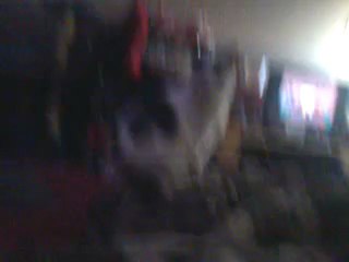 Montre toi Ménestrel lilipucienne!