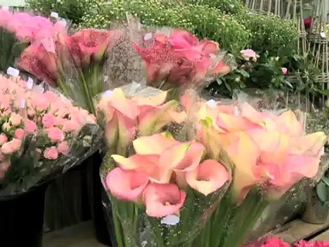 Blomsterforretning Oslo Blomsterdekor Majorstuen