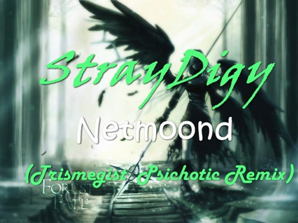 StrayDigy - Netmoond (Trismegist Psichotic Remix)