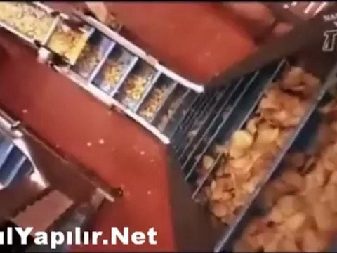 Cips Nasıl Yapılır? | NasılYapılır.Net |