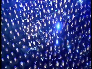 Interview de Marina d'Amico