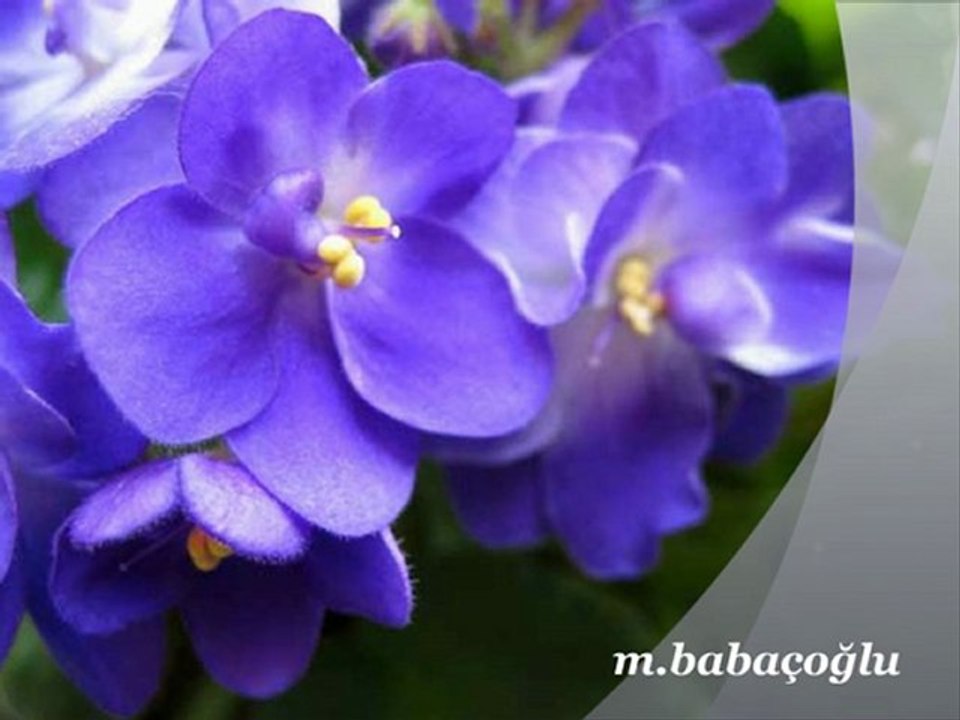 [ Gülay - Kendine İyi Bak ]