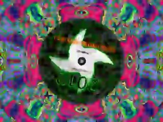 Ninjatron - Cunts Like Us VIP