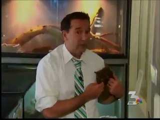 Exotic animal reunited with owners Whitney and Christopher Zelig after weekend escape