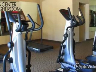 Paradise Vista Apartments in Glendale, AZ - ForRent.com