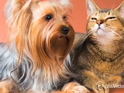 Regency Woods Apartments in Minnetonka, MN - ForRent.com