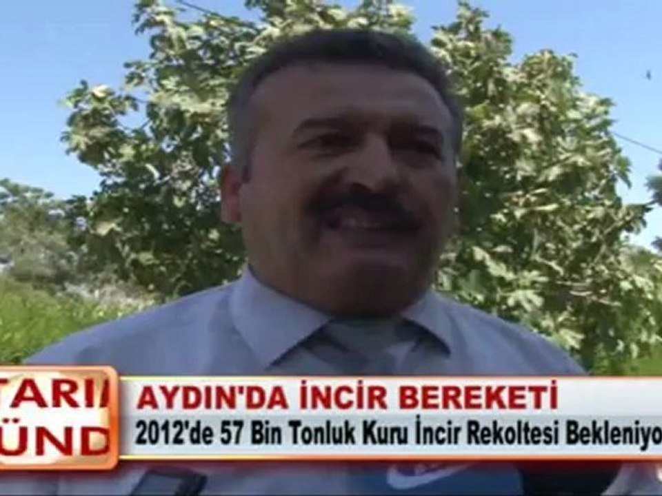 AYDIN’DA İNCİR BEREKETİ