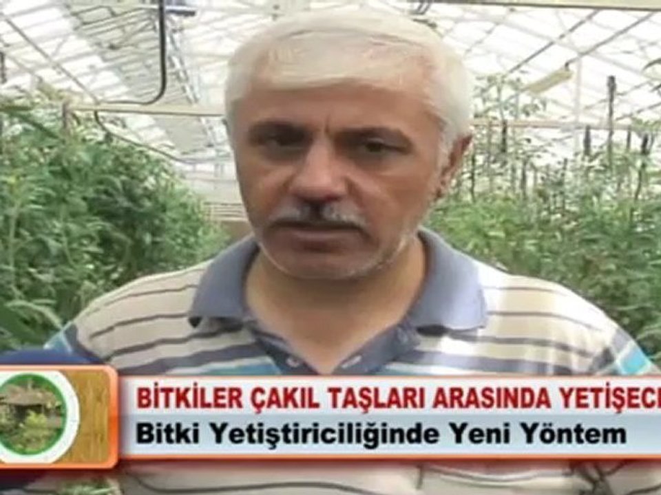 BİTKİLER ÇAKIL TAŞLARI ARASINDA YETİŞECEK