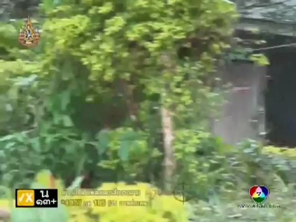 Nang Fah Gub Mafia 10.2