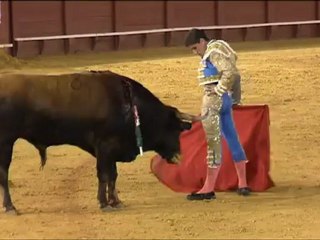 NOVILLADA NOCTURNA SIN MUCHA HISTORIA EN SEVILLA