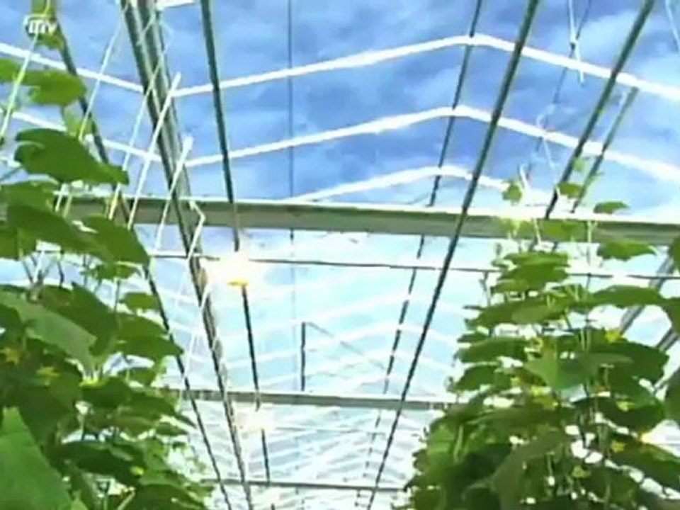 Agricultural Investing in High Tech Green Houses