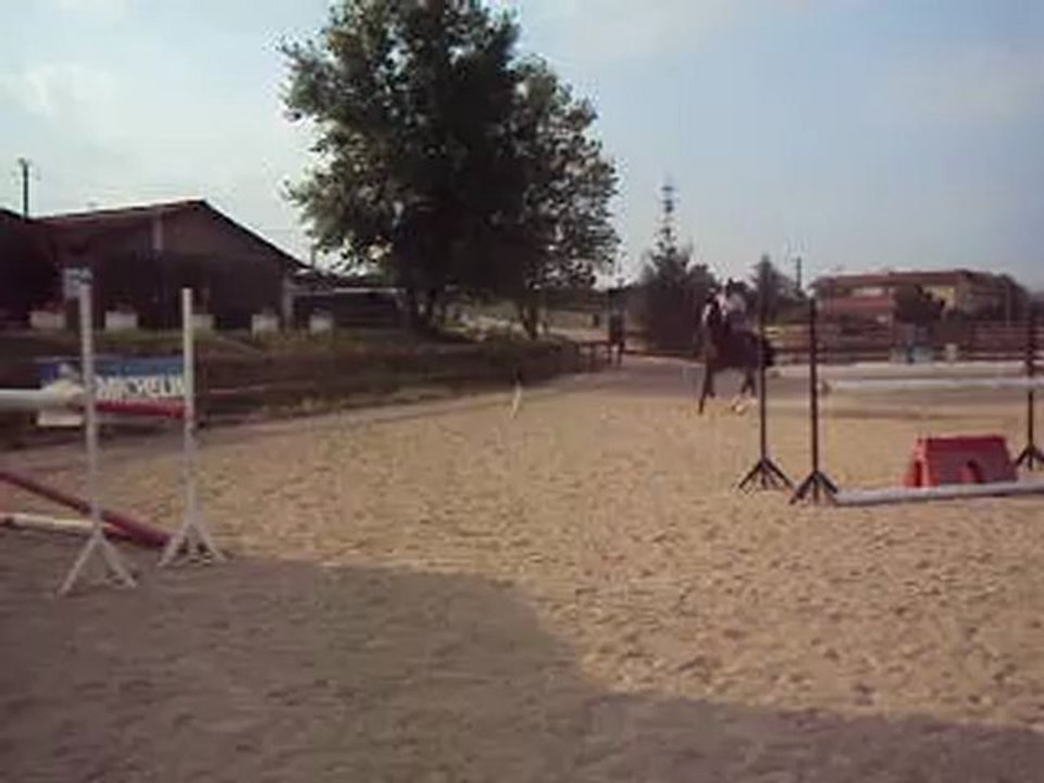 A vendre SF 5 ans CSO pret 125 (parcours )