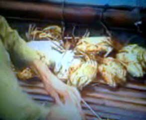 Sửa tủ lanh tại THANH XUÂN 0914.112.226