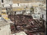 Les tanneries de Fès