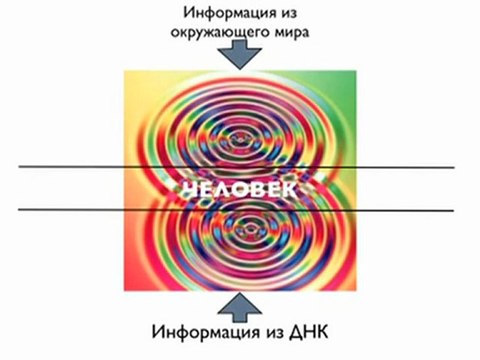 Вся правда о здоровье. Дмитрий Шаменков