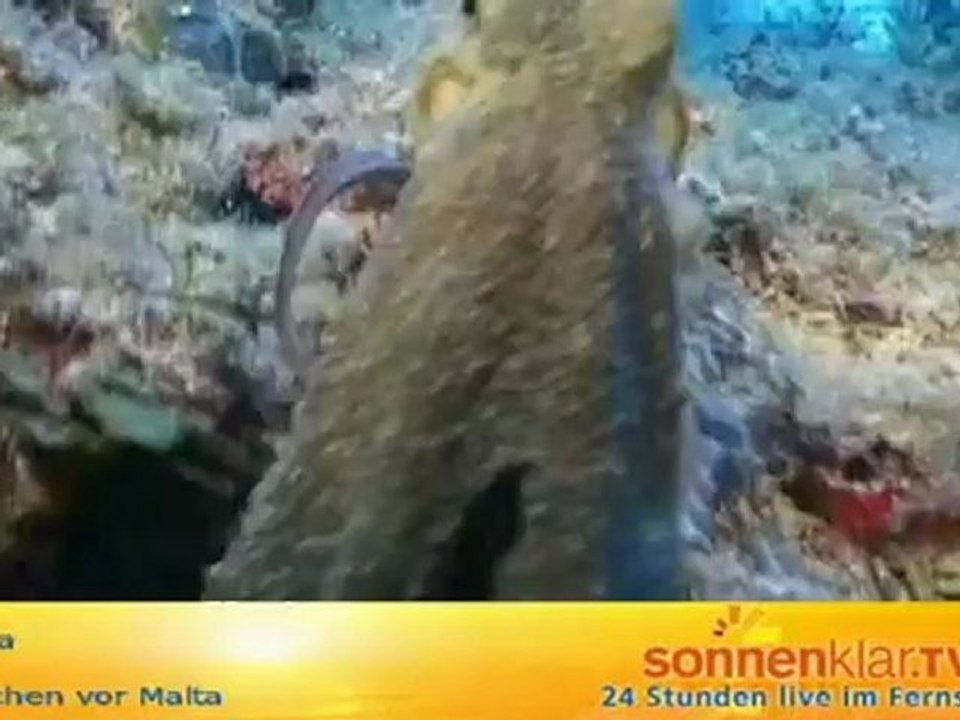 Tipp Malta - Tauchen vor Malta