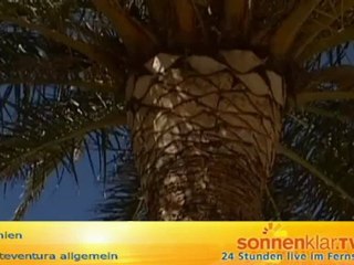 Fuerteventura allgemein (neu)