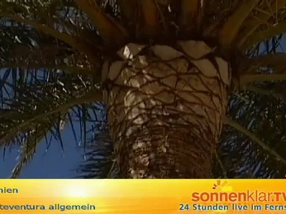 Fuerteventura allgemein (neu)