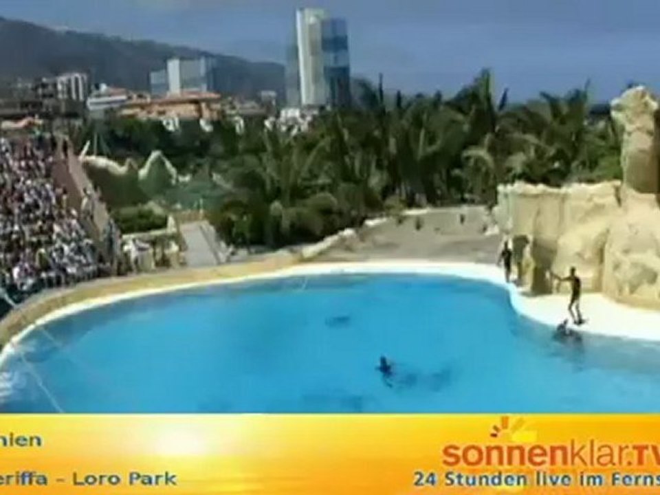 Tipp Loro Park (Orotava-Tal)