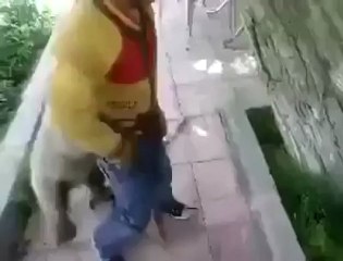 Çocuk Yavru Ayıyla Oynuyor