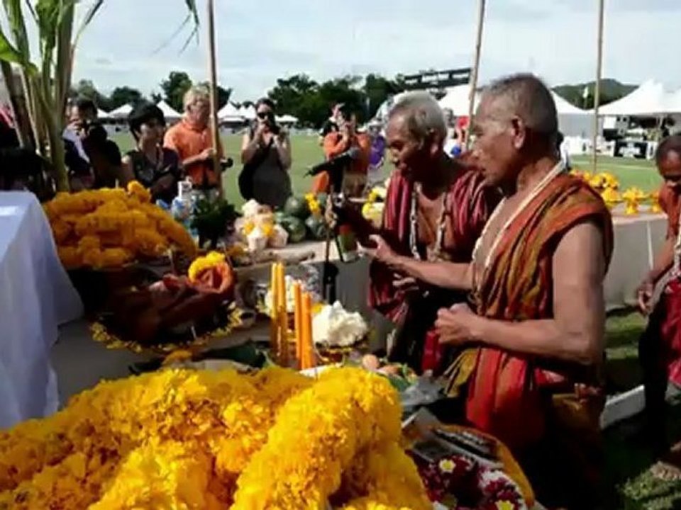 King's cup: elefanten-polo in thailand