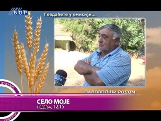 Navigator, 14. septembar 2012.