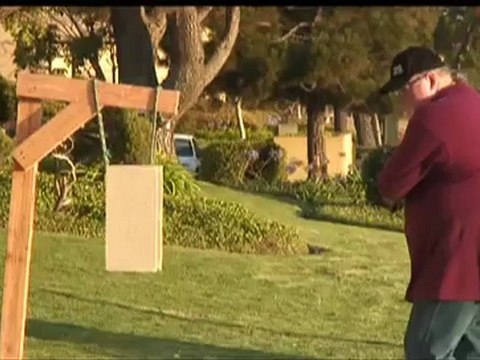 Irish Blackthorn Walking Stick