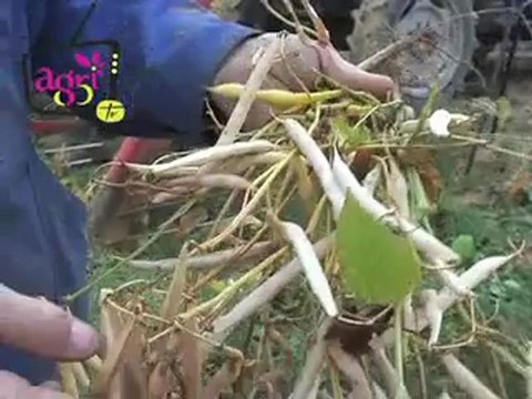 JT agri85TV du vendredi 14 septembre 2012