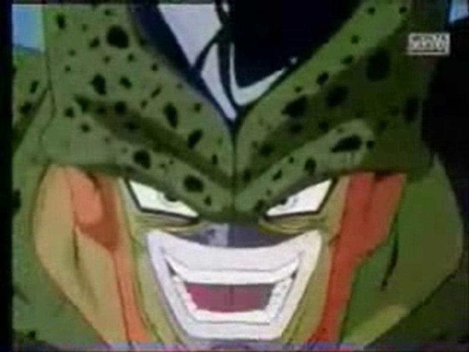 Vegeta VS cell