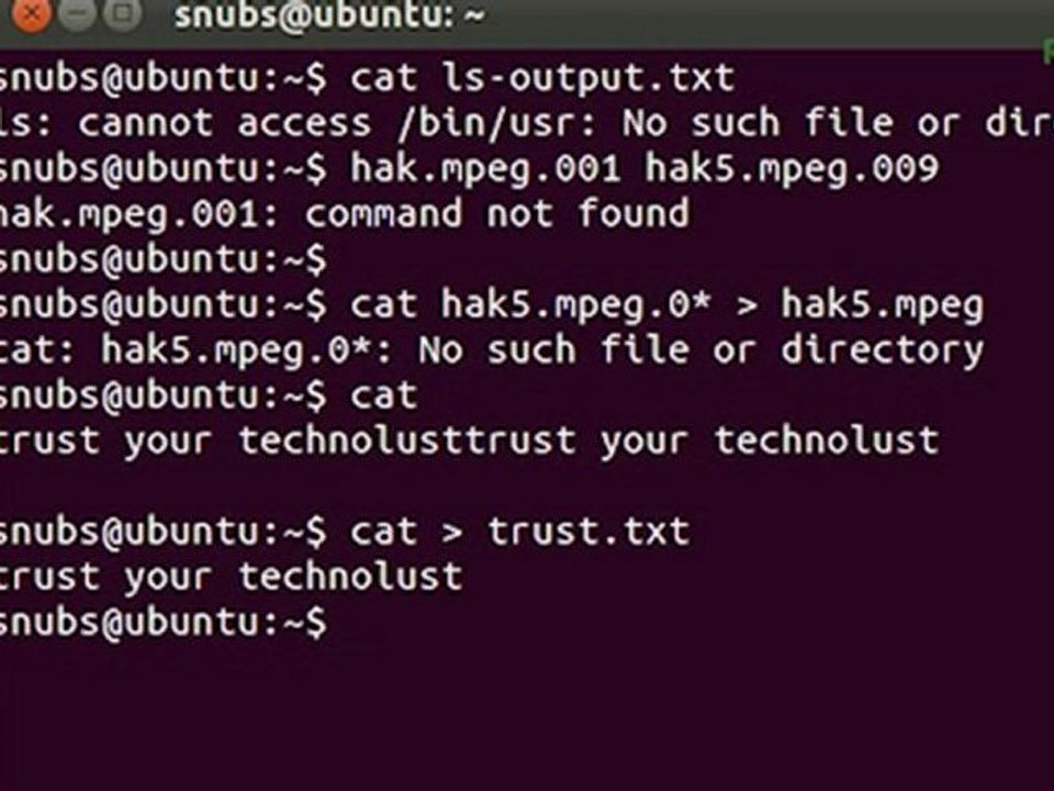 Linux Terminal 101: Using CAT with Standard Inputs - HakTip