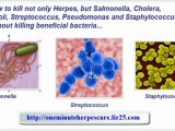 herpes natural cure - herpes simplex cure - herpes 1