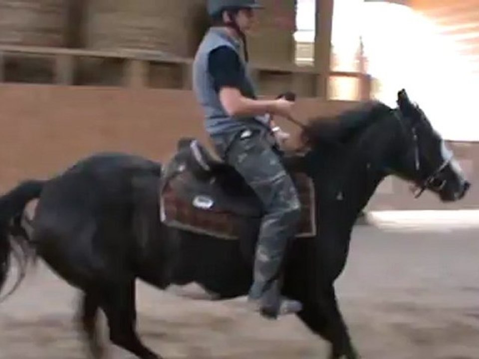 cheval