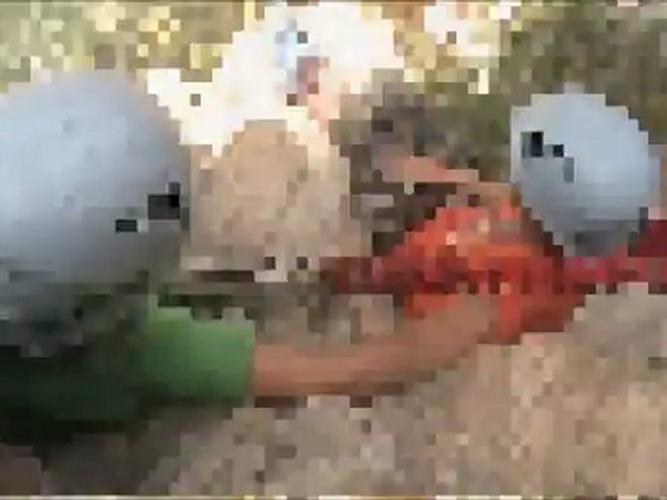 Via Ferrata dans les gorges de la Durance