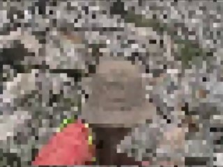 Randonnée vers le glacier blanc