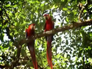 All-about-Costa-Rica-ICT