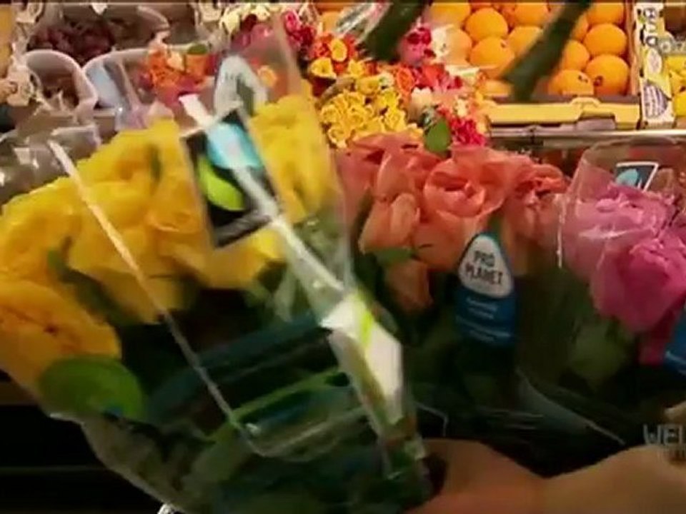 Weltjournal - fairtrade - wirklich fairer handel ?!