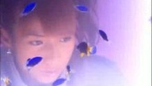 W(double U)  -  Sabishii Nettaigyo