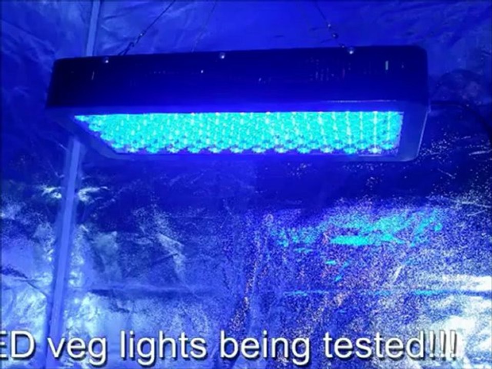 BLU LED Concept Veg LED Grow Light Comparison