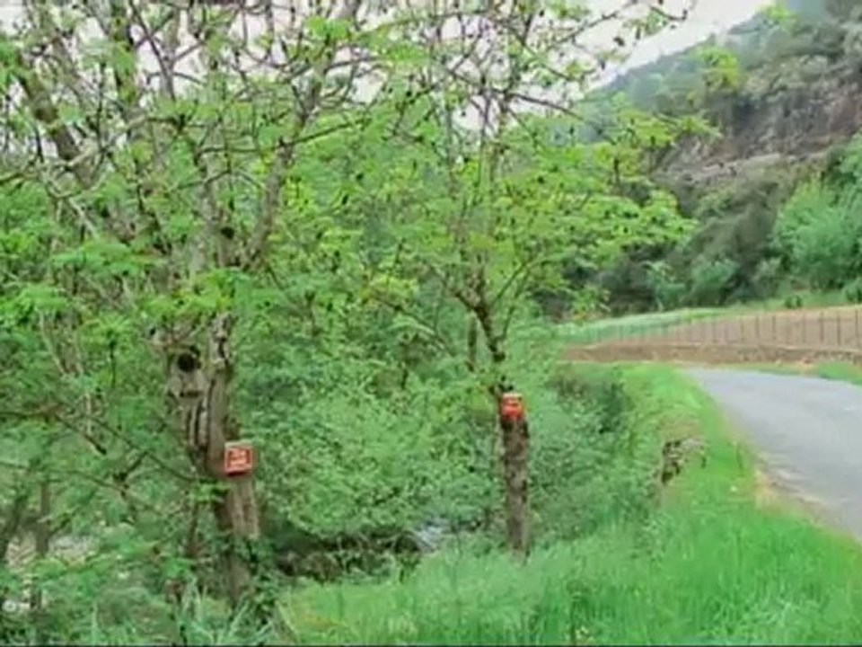 rallye de lozere 2010 ...cinquecento cellier gérald