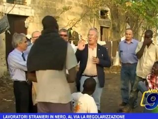 Lavoratori stranieri in nero, al via la regolarizzazione