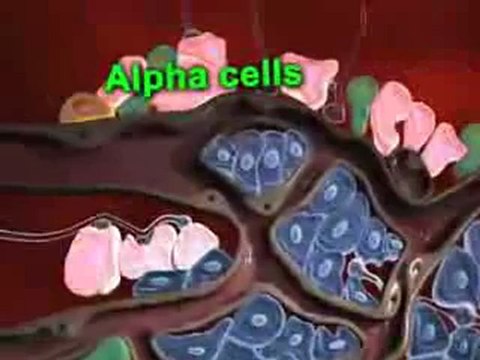 DPP-IV Inhibitors (Understanding Disease_ Diabetes & Endocrinology)