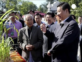 Cina: Xi Jinping in pubblico dopo 15 giorni assenza