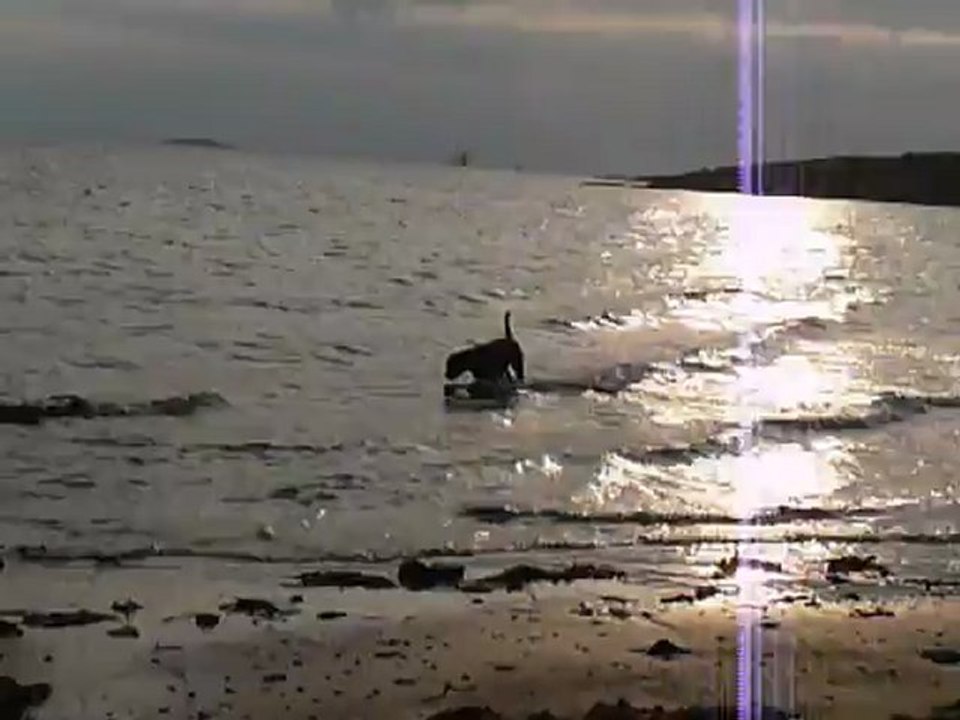 EWANE et EOLE   -  EWANE à la mer  -  vol.1