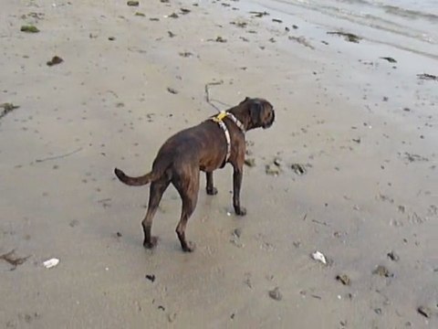 EWANE et EOLE - EWANE à la mer - vol.2