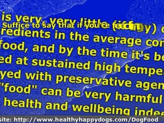 Commercial Pet Food for Your Dog?