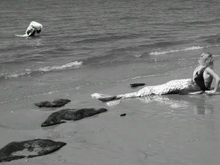 la grande battle Guillaume tell by trio krankspieler