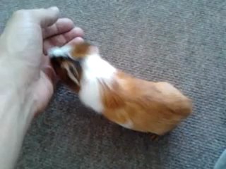 video-2012-09-05-12-45-53