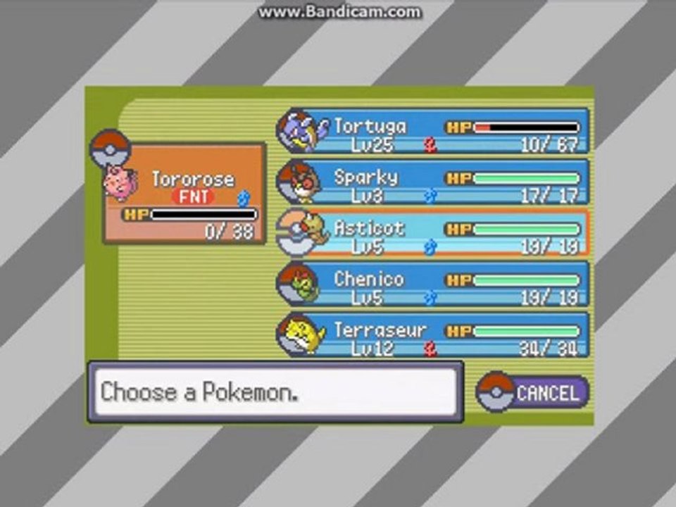 6) Pokemon Global Revolution : Le deuxième badge !