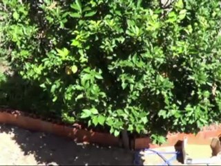 Teste da camera nova